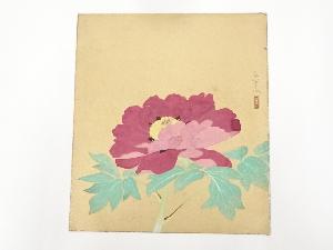 華山昌徹筆　牡丹図　肉筆色紙